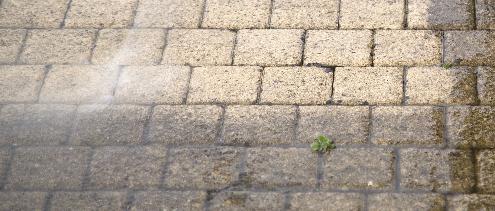 flagging and patios KT4