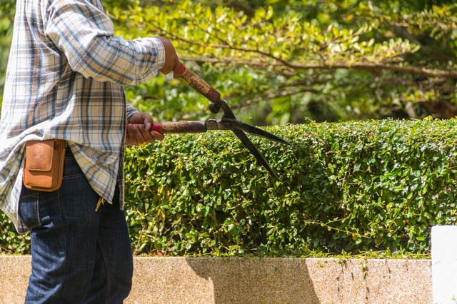 Garden Maintenance Worcester Park, Cuddington, Stoneleigh, KT4